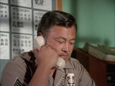 YES? - Hawaii Five-O