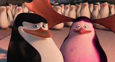 Yes, sir... - Penguins of Madagascar