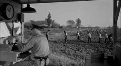 Yes, sir. - The Black Orchid