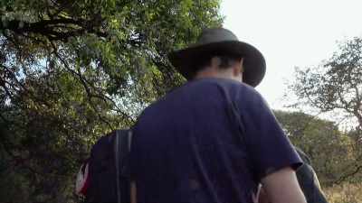 Yes, that's our scene. - In the Footsteps of Elephant