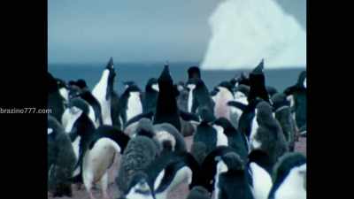 Yes, the science today, - Becoming Cousteau