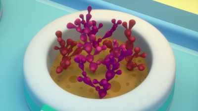 Yes, there’s an algae garden
to feed hungry fish. - Octonauts and the Great Barrier Reef
