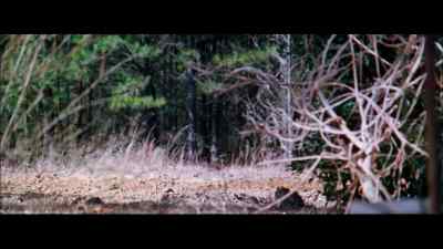 Yes, there's no doubt about it, - The Legend of Boggy Creek