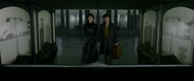 Yes, this is Leta Lestrange. - Fantastic Beasts: The Crimes of Grindelwald