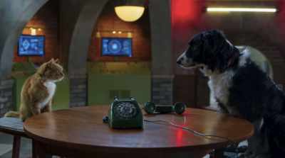 Yes! We may not know who is
behind this plot, but we do know where. - Cats & Dogs 3: Paws Unite