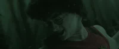 - Yes! - Whoo! - Harry Potter and the Goblet of Fire