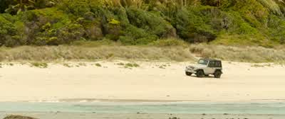 Yes. Yeah. Here! Here! Here! - The Shallows