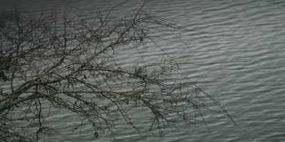 - Yesterday, after one week,
the search for Beach ended. - Low Country: The Murdaugh Dynasty