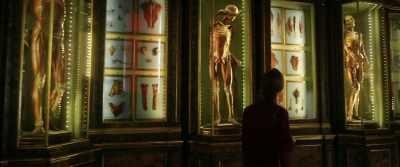 Yet at the same time, doctors stopped
looking at patients as people, - The Book of Vision
