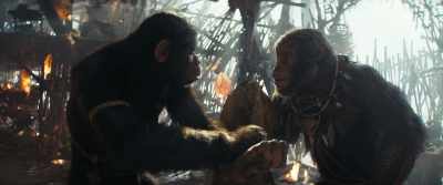 Yet blood of Echo
on your blanket. - Kingdom of the Planet of the Apes