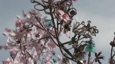 Yet, it comes up to
these branches that are blooming - Scrap