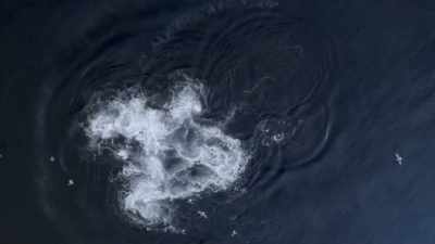 "Yet every year,
they somehow find one another" - Secrets of the Whales