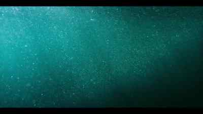 Yet here, in the Southern Ocean, - Our Oceans