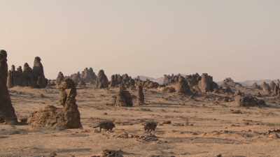Yet this is home to these young Tarchia. - Prehistoric Planet