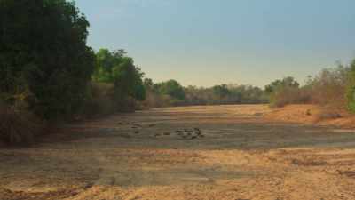 Yet, remarkably, even here, - Dynasties