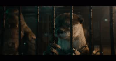 Yippee! - Guardians of the Galaxy Vol. 3