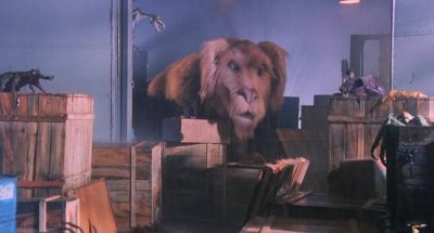 Yo Chief What about the luck dragon - The NeverEnding Story III