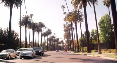 ♪♪ - - Yo, Rob! - The Bling Ring