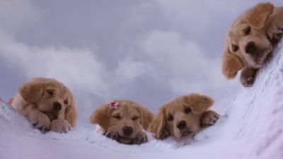 Yo if you keep digging you're gonna end up in China - Snow Buddies