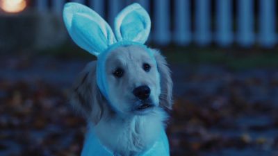 Yo if you're lookin' for a pawtograph - Spooky Buddies