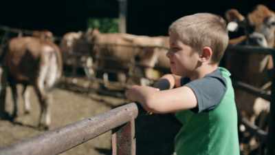 YODER: I have probably
a herd of 60 cows, with
50 milking at any time. - Paris to Pittsburgh