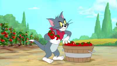 - YOO-HOO. - Tom and Jerry Tales