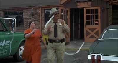 Yoo-hoo! Sheriff! - Smokey and the Bandit