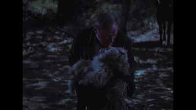 You were a good one. - Lassie Come Home