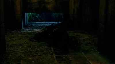 You accused me, your own brother. - Legend of the Seeker