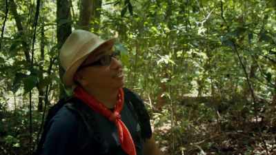 You actually still can see - Lost Treasures of the Maya