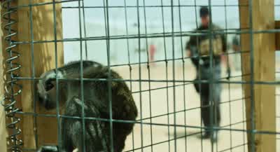 You Agency guys are twisted. - Zero Dark Thirty