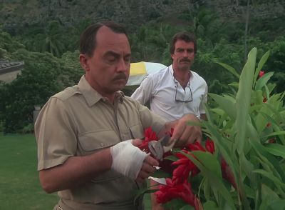 - You aII right?
- No, I'm not aII right. - Magnum, P.I.