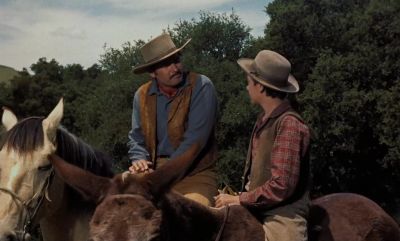You ain't forgetting the horse - Old Yeller