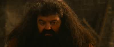 You all right, Harry? - Harry Potter and the Philosopher's Stone