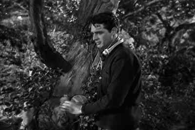 You all right, Mr. Gordon; - Wings in the Dark