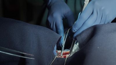 - You all right?
- Yeah, it's just, - The Good Doctor