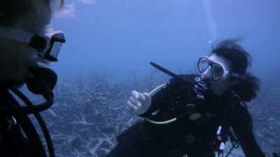 You also can't communicate
with your team, - Chasing Coral