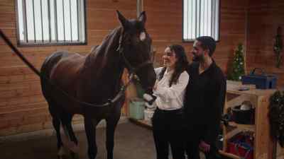 You always had
a love for horses? - Unwrapping Christmas: Mia's Prince