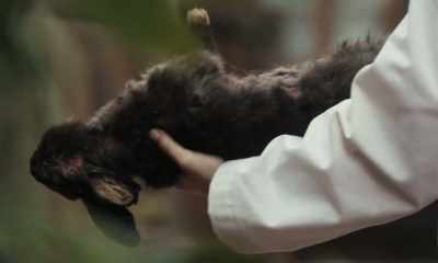 You always want to cut
away from yourself. - Spoonful of Sugar