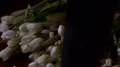 You and Victoria must be getting pretty close. - Smallville
