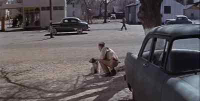 You are a nice dog, little Pard. - I Died a Thousand Times