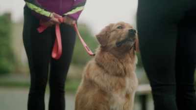 You are a star student, - The Dog Lover's Guide to Dating