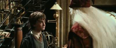 ...you are going to meetthe same sticky end. - Harry Potter and the Chamber of Secrets