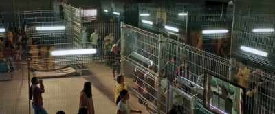 You are in federal custody - American Carnage