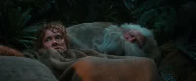 BILBO WaitYou are makinga terrible mistakeYou can't reason with themThey're half wits BOFUR Half witsWhat does that make us - The Hobbit: An Unexpected Journey