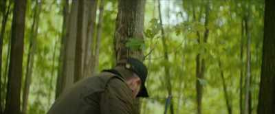 - You are more concerned
about your deer - Young Werther