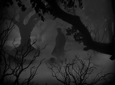 You are not frightened - The Wolf Man