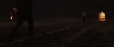 You are not leaving me. - The Host