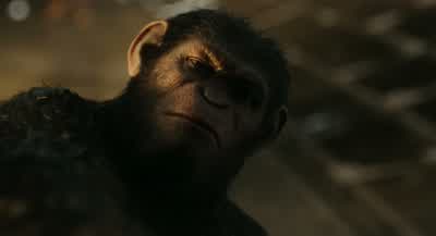 You are... - Dawn of the Planet of the Apes