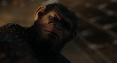 You are... - Dawn of the Planet of the Apes